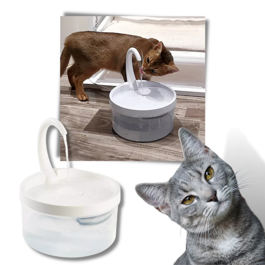 Fontaine d'eau automatique pour chat avec lumière LED