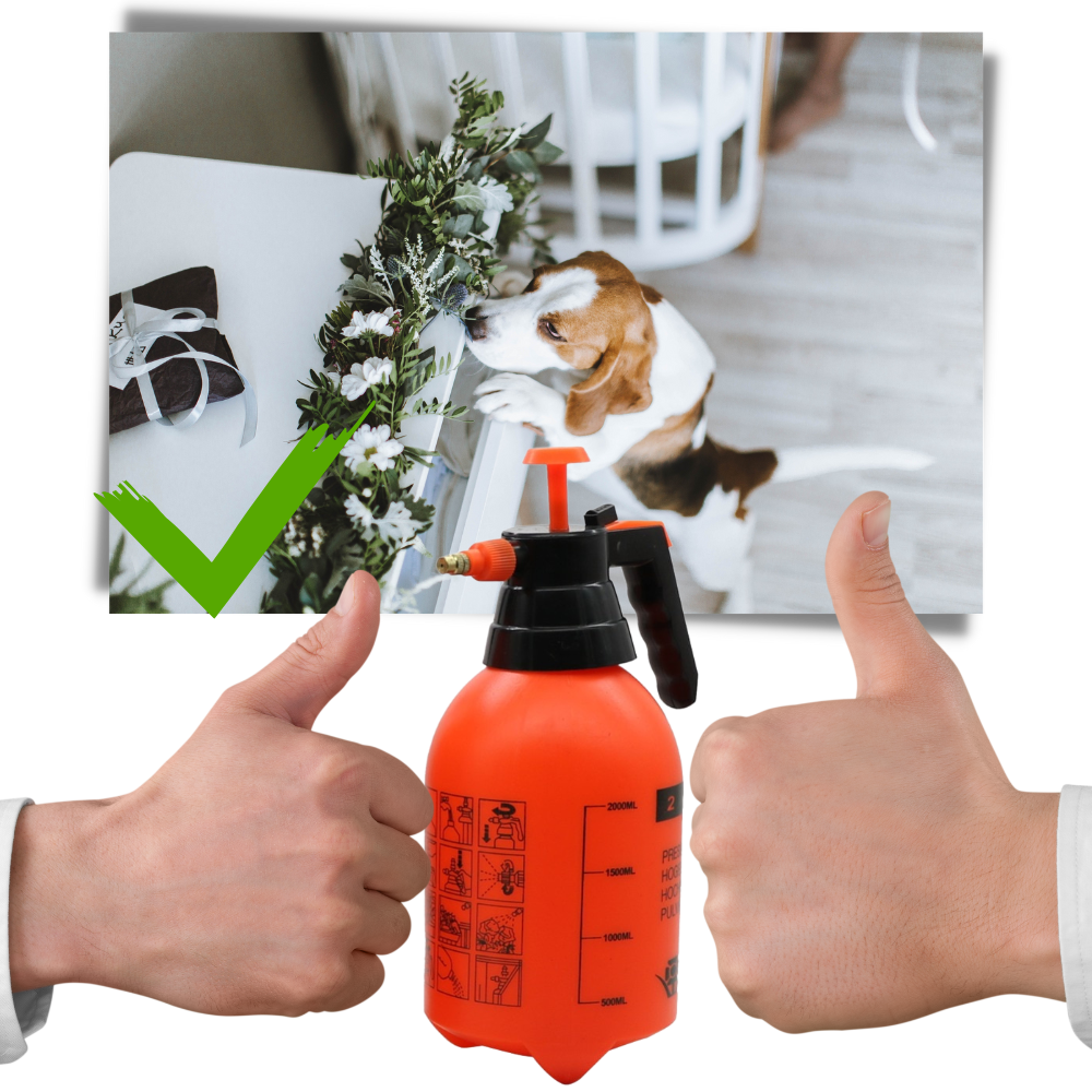 Pulvérisateur de jardin à pompe