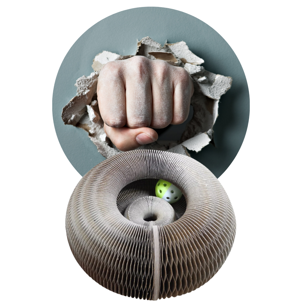 Planche à gratter pour chats