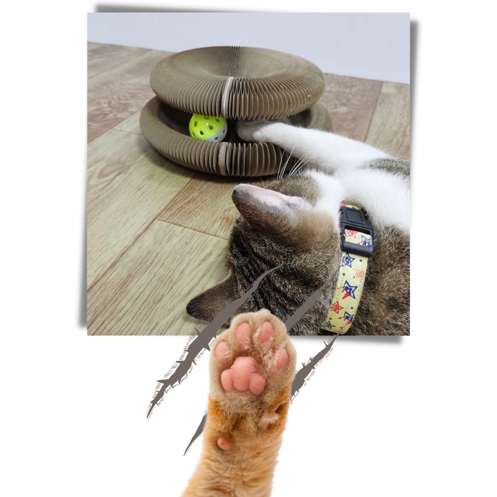 Planche à gratter pour chats