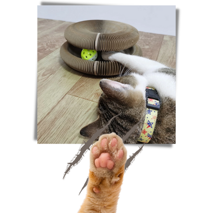 Planche à gratter pour chats