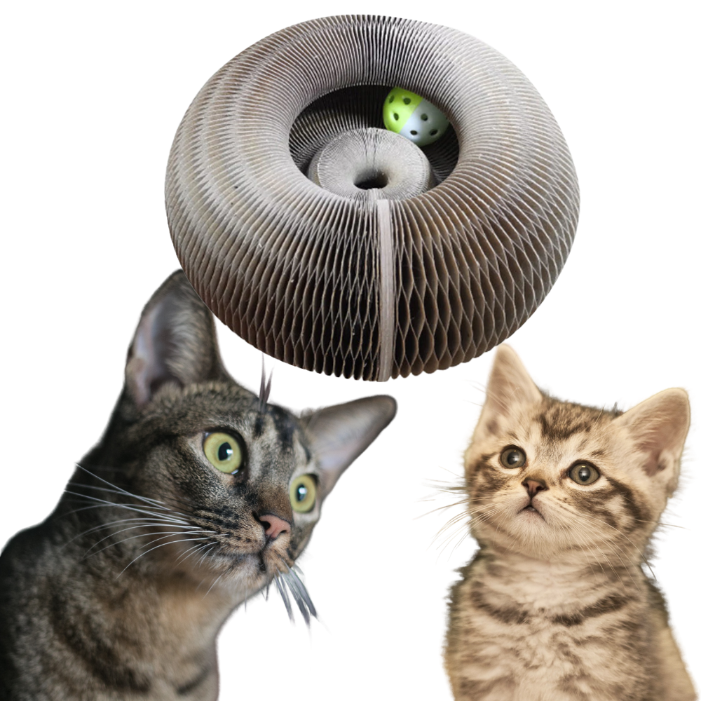 Planche à gratter pour chats