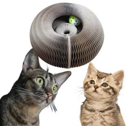 Planche à gratter pour chats