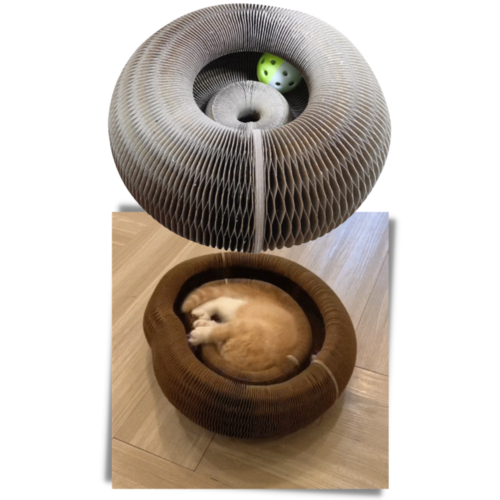 Planche à gratter pour chats