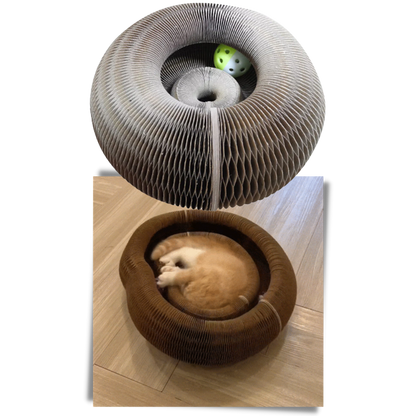 Planche à gratter pour chats