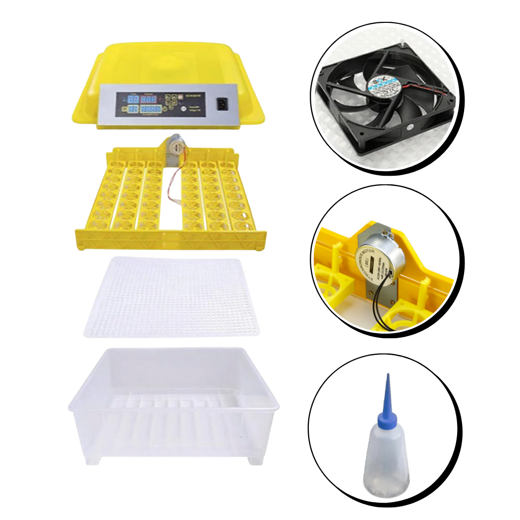 Incubateur automatique d'oeufs (48 oeufs)