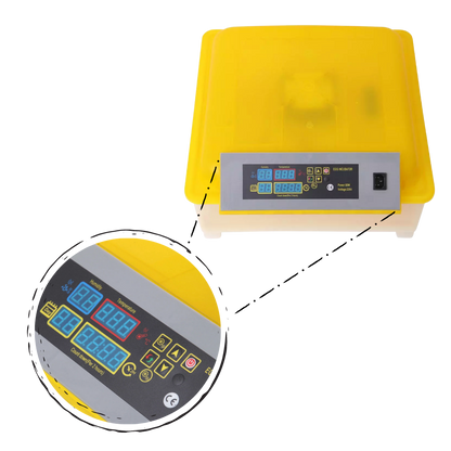 Incubateur automatique d'oeufs (48 oeufs)