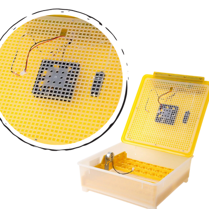 Incubateur automatique d'oeufs (48 oeufs)