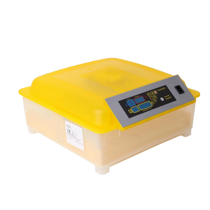 Incubateur automatique d'oeufs (48 oeufs)