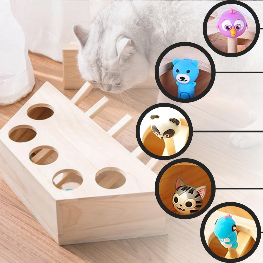 Jouet interactif en bois à 5 trous pour chat