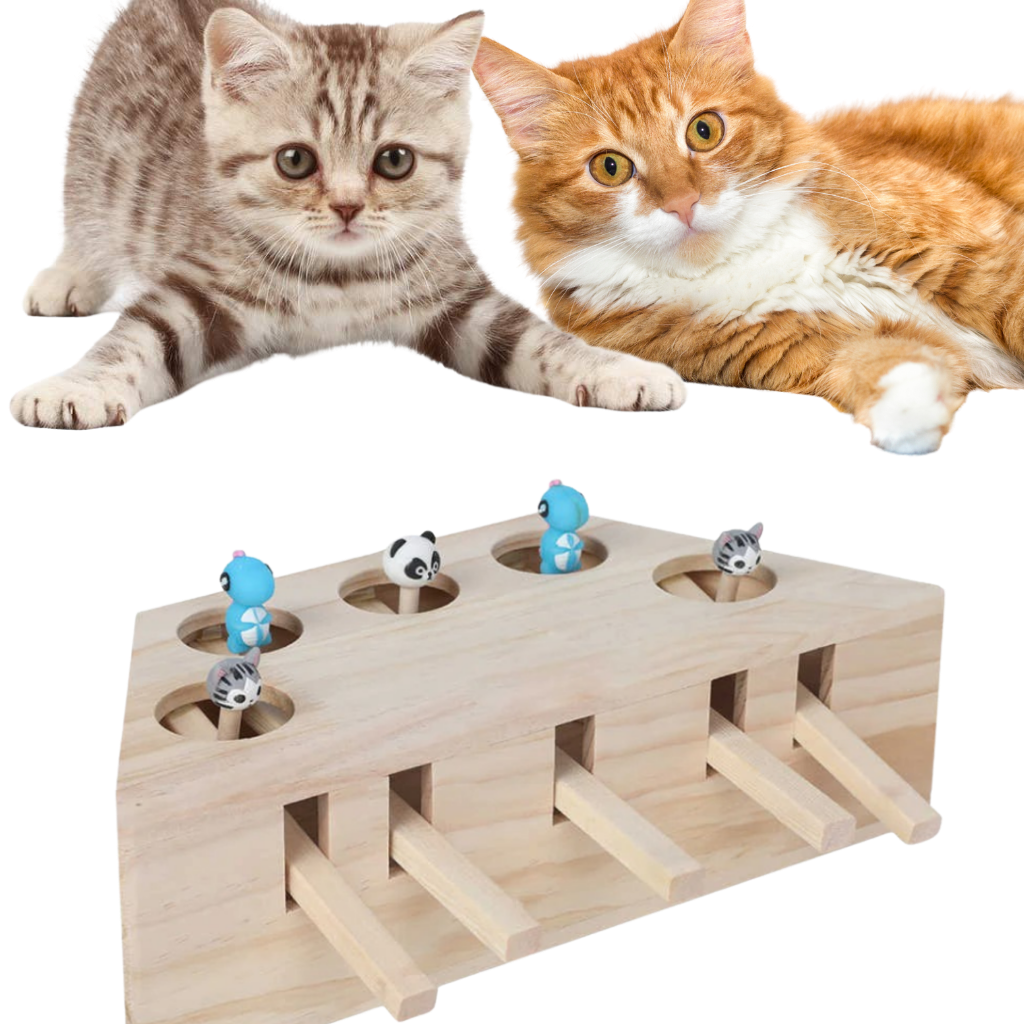 Jouet interactif en bois à 5 trous pour chat