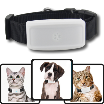 Collier de repérage gps pour animaux de compagnie