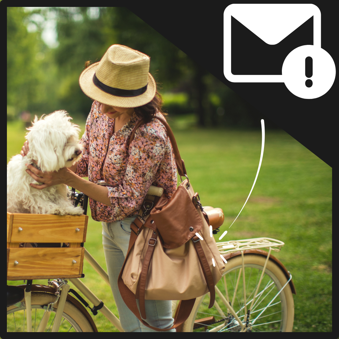 Collier de repérage gps pour animaux de compagnie