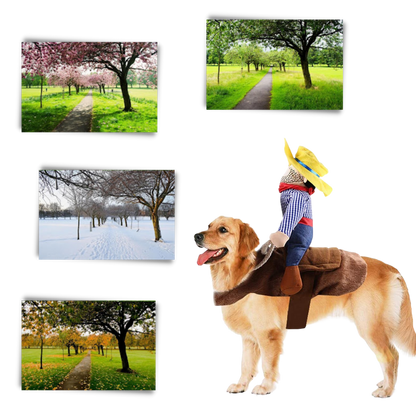 Déguisement de cow-boy pour chien