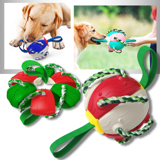 Ballon de frisbee pour chien