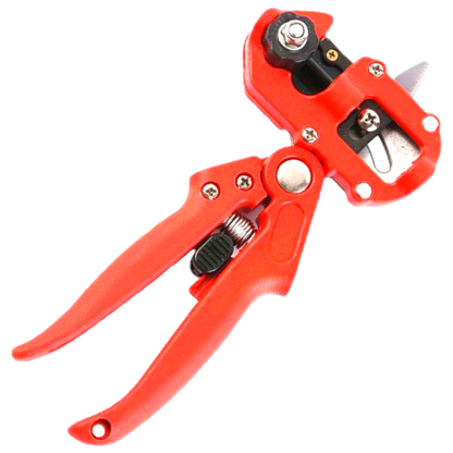 Sécateur de jardin et outil de greffage