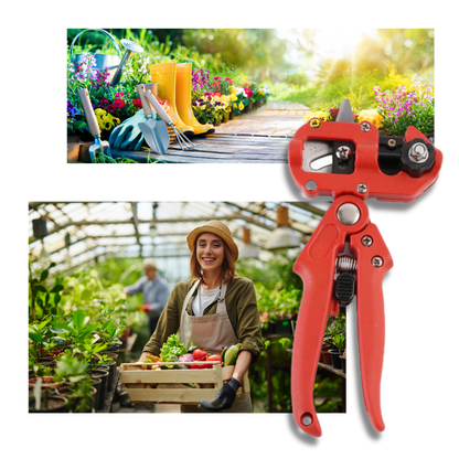 Sécateur de jardin et outil de greffage