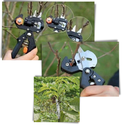Sécateur de jardin et outil de greffage