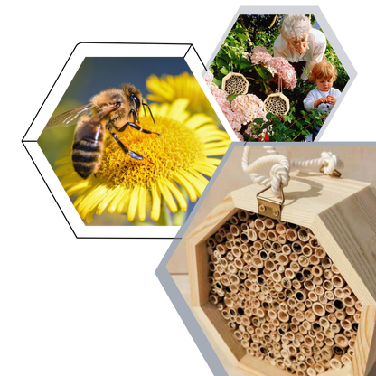 Maison en bois hexagonale pour abeilles