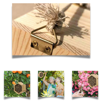 Maison en bois hexagonale pour abeilles