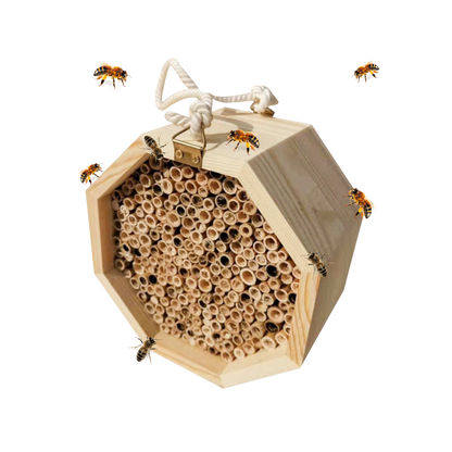Maison en bois hexagonale pour abeilles