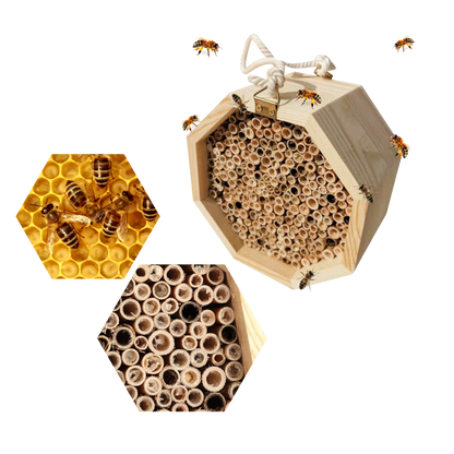Maison en bois hexagonale pour abeilles
