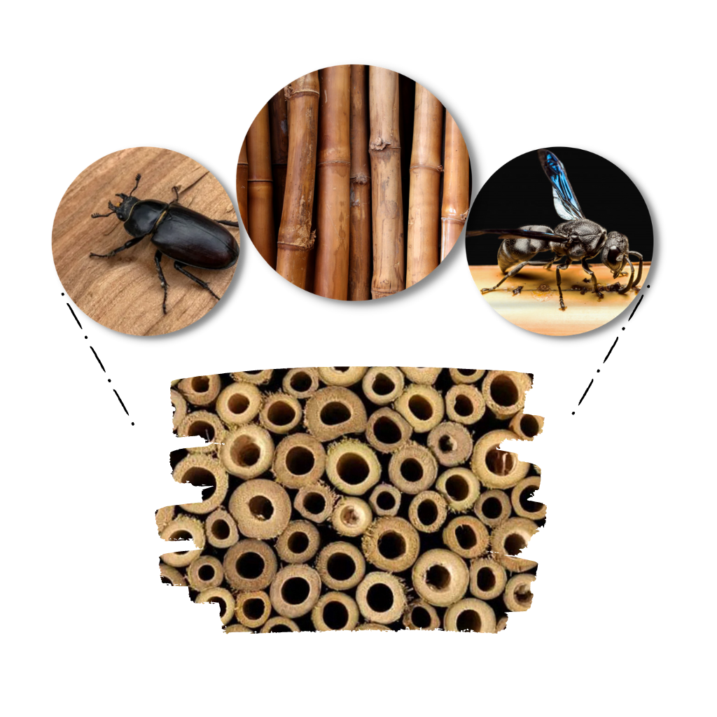 Maison en bois hexagonale pour abeilles
