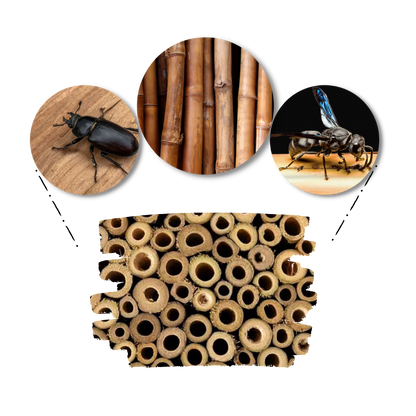 Maison en bois hexagonale pour abeilles