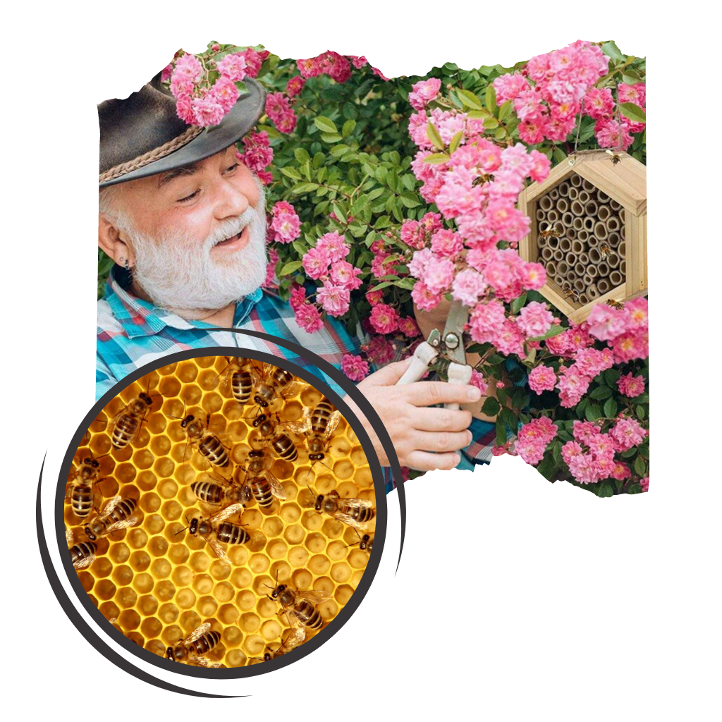 Maison en bois hexagonale pour abeilles