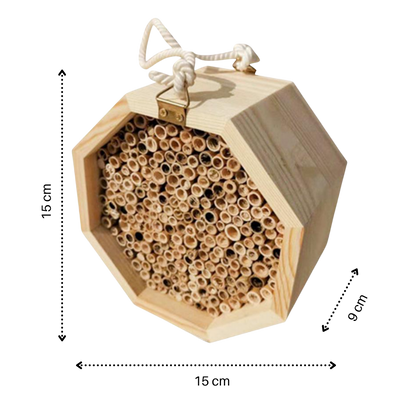 Maison en bois hexagonale pour abeilles