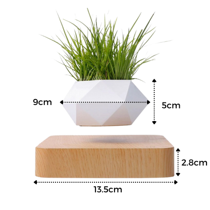Pot à plante flottant en lévitation