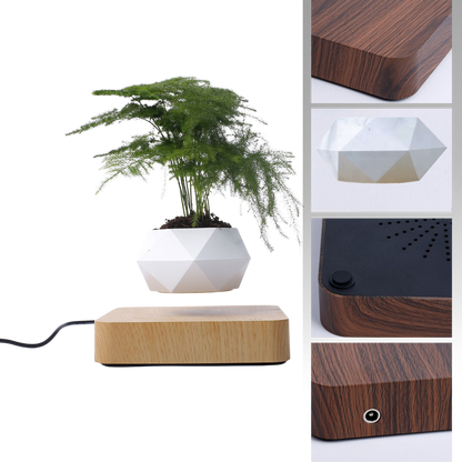 Pot à plante flottant en lévitation