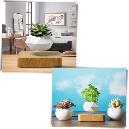 Pot à plante flottant en lévitation