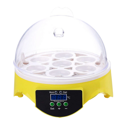 Mini incubateur automatique d'oeufs