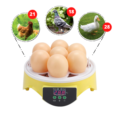Mini incubateur automatique d'oeufs