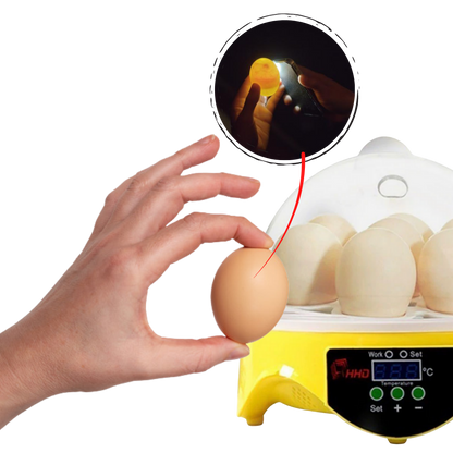 Mini incubateur automatique d'oeufs