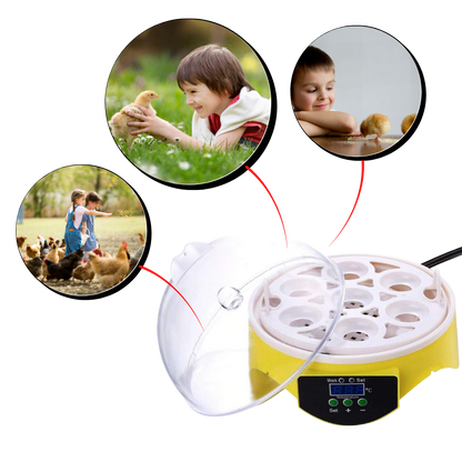 Mini incubateur automatique d'oeufs