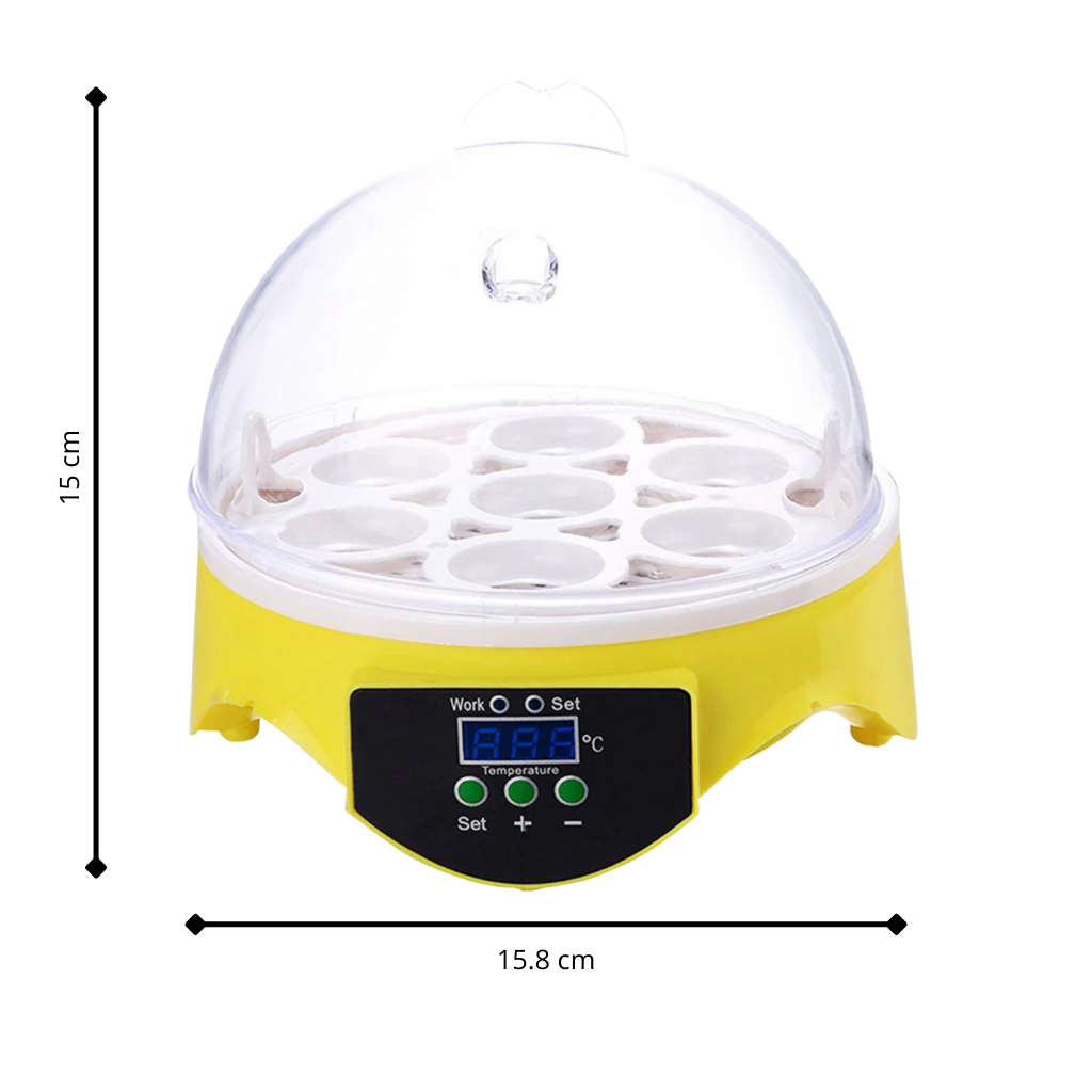 Mini incubateur automatique d'oeufs