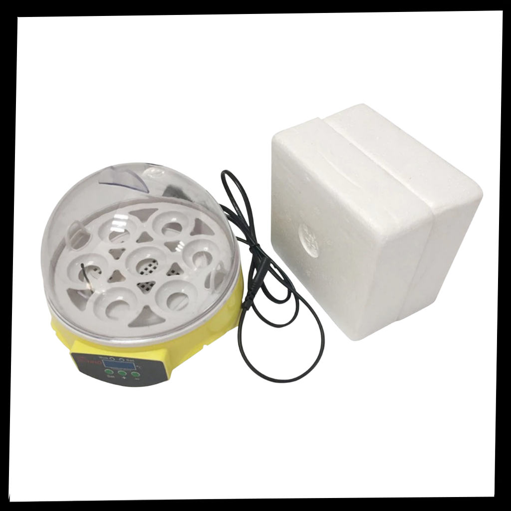 Mini incubateur automatique d'oeufs