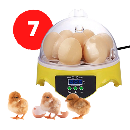 Mini incubateur automatique d'oeufs