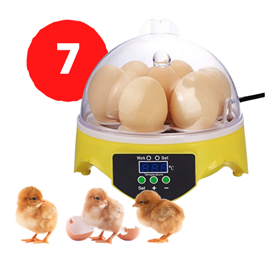 Mini incubateur automatique d'oeufs