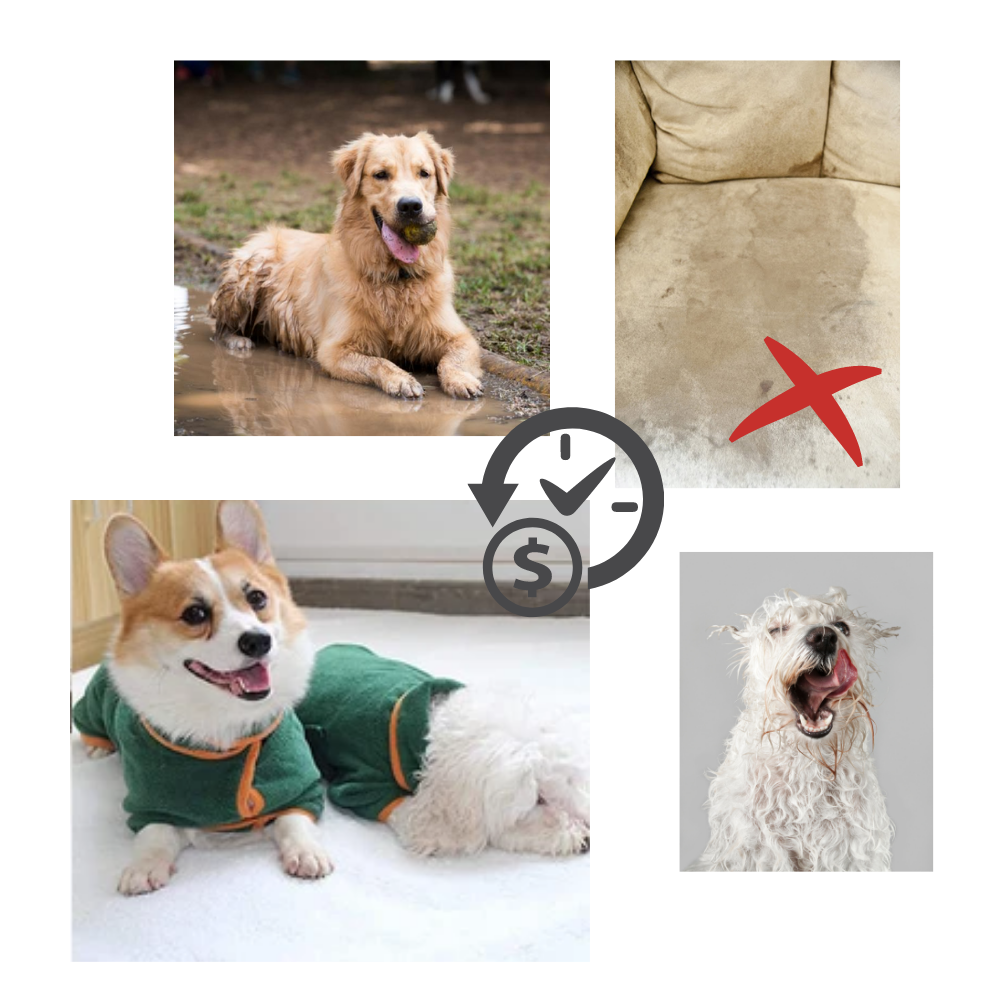 Peignoir super absorbant pour animaux de compagnie