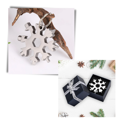 Outil Flocon de neige multifonctionnel 18-en-1 en acier inoxydable
