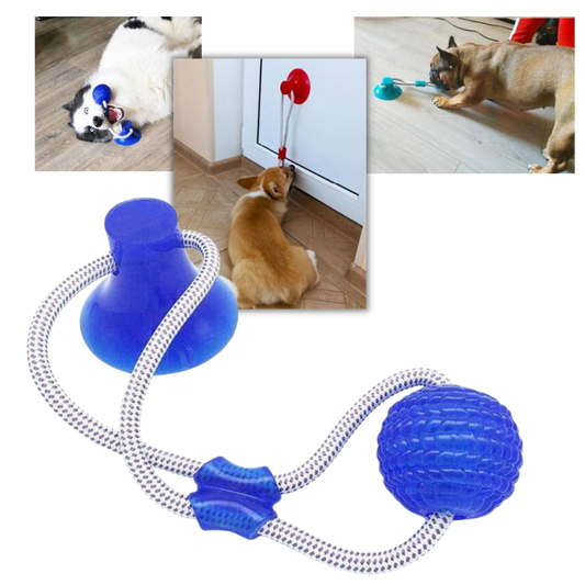 Balle avec ventouse pour chien