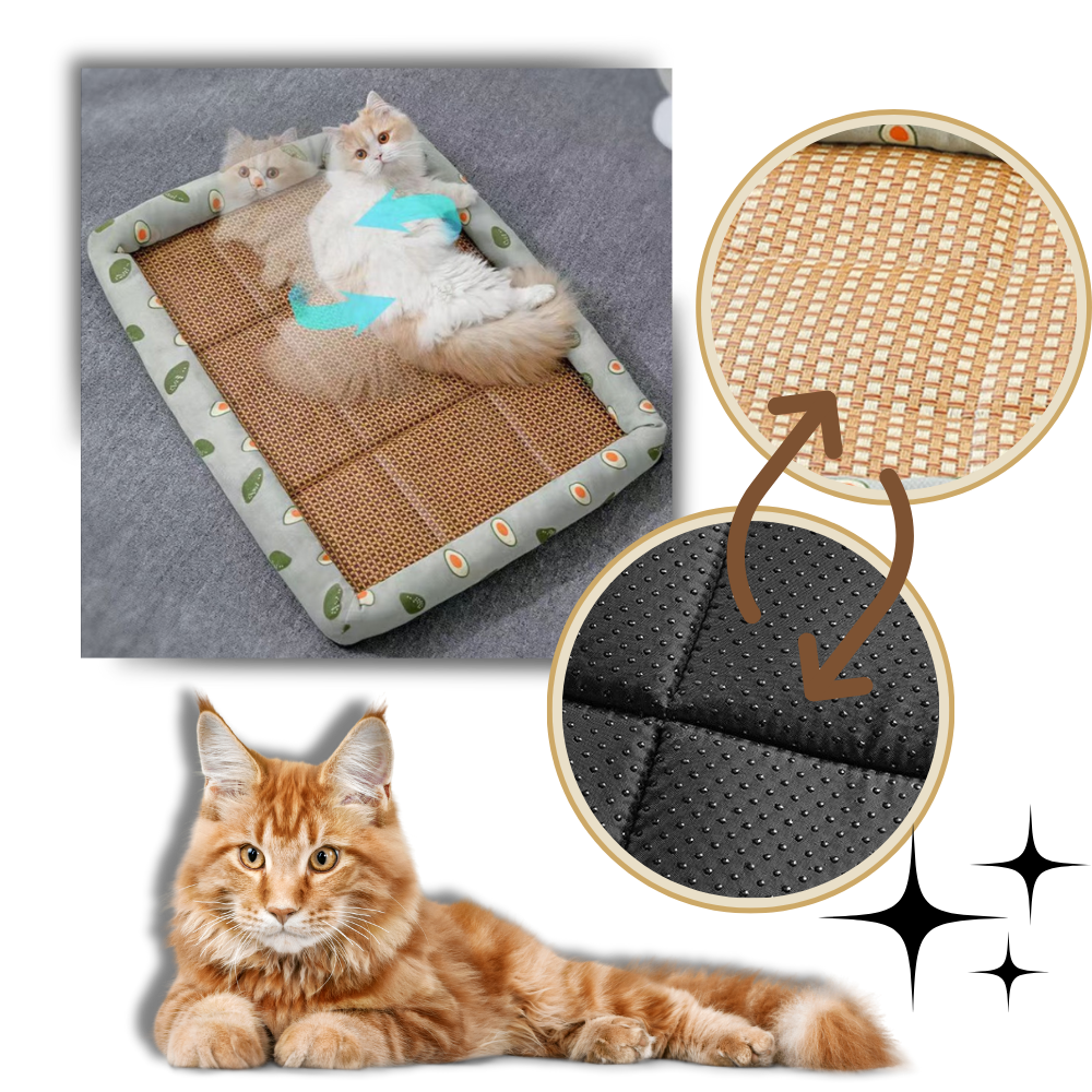 Tapis anti-dérapant et rafraîchissant pour animaux de compagnie