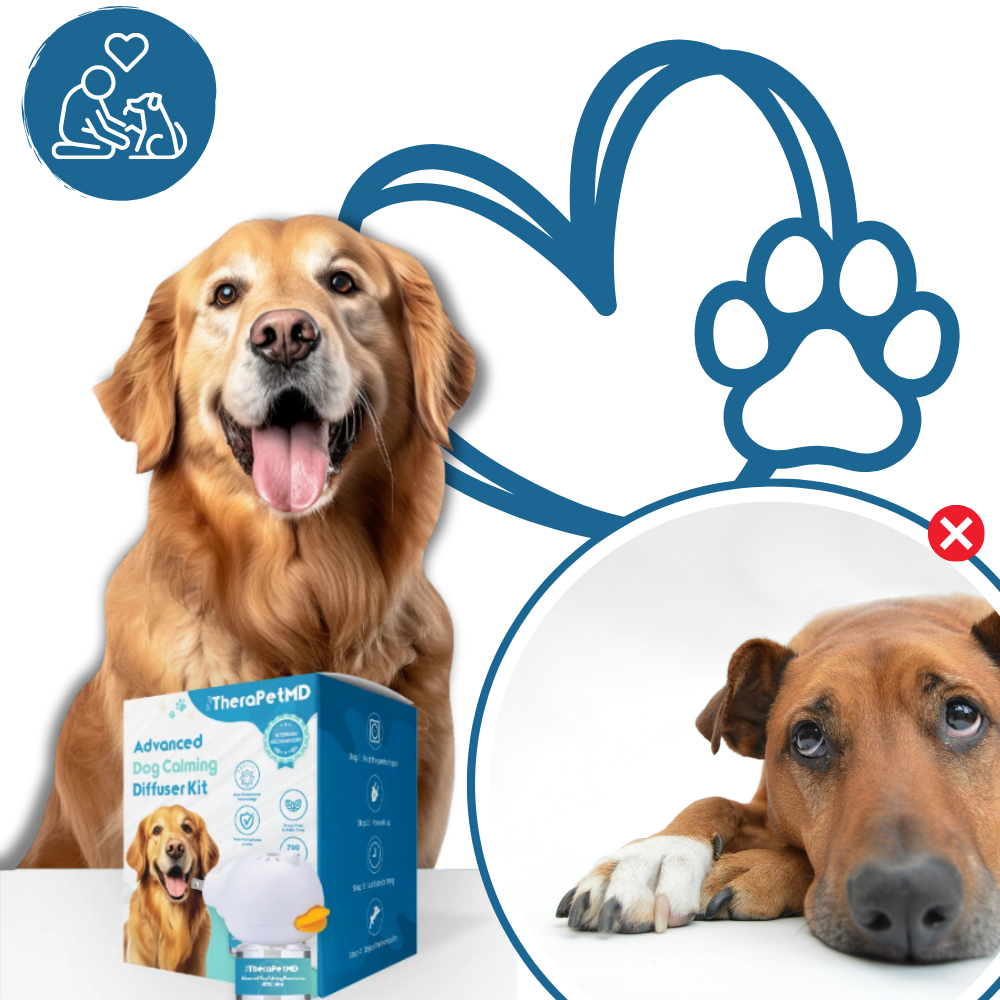 Phéromone apaisante pour animaux de compagnie