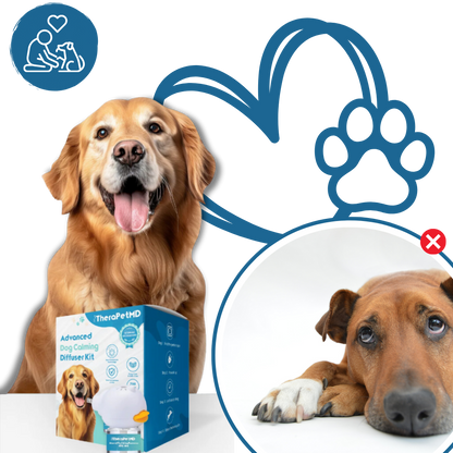 Phéromone apaisante pour animaux de compagnie