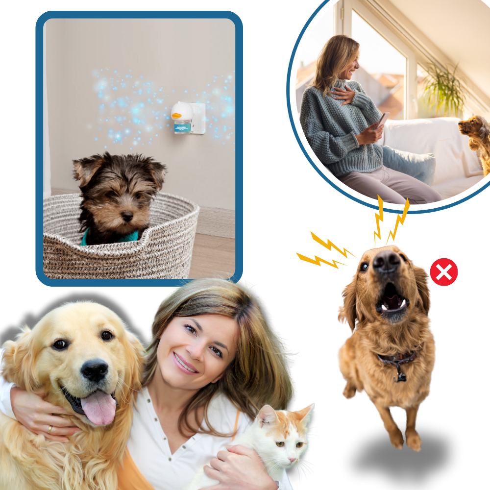 Phéromone apaisante pour animaux de compagnie