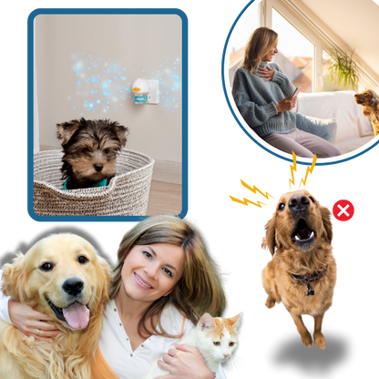 Phéromone apaisante pour animaux de compagnie