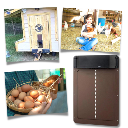 Porte Automatique pour Poulailler